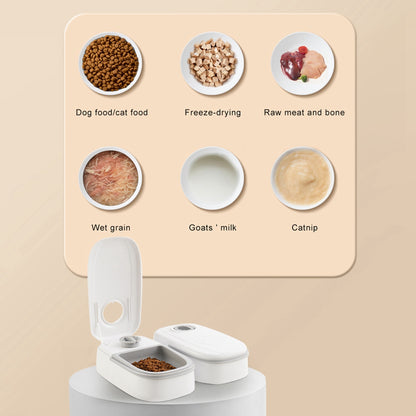 CalmFeast Voerdispenser – Rust, Regelmaat & Zorg zonder Gedo