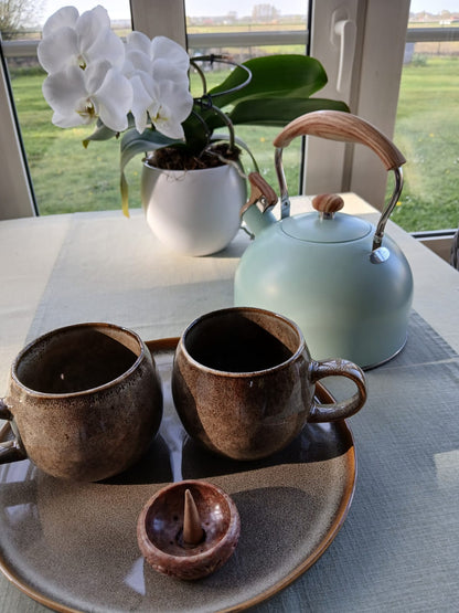 Fluitketel voor Thee & Koffie – RVS Waterketel voor Gas, Inductie en Elektrische Kookplaat