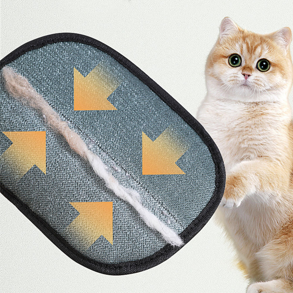 Gentle Clean Pet Glove – Waar Verzorging en Schoonmaak Samenkomen