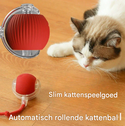 Interactieve Slimme Speelbal voor Katten & Honden