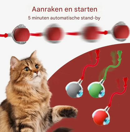 Interactieve Slimme Speelbal voor Katten & Honden