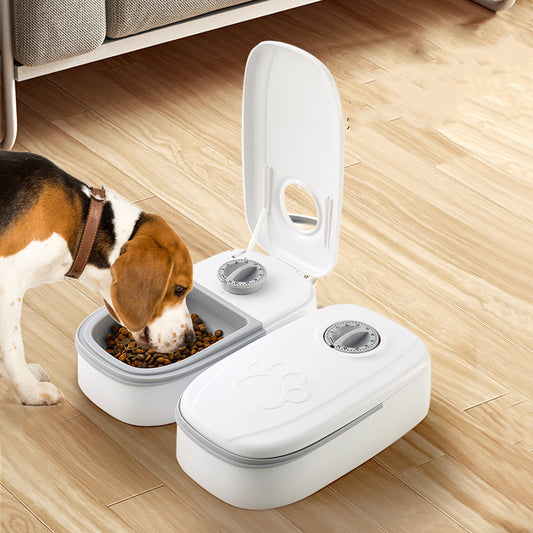 CalmFeast Voerdispenser – Rust, Regelmaat & Zorg zonder Gedo